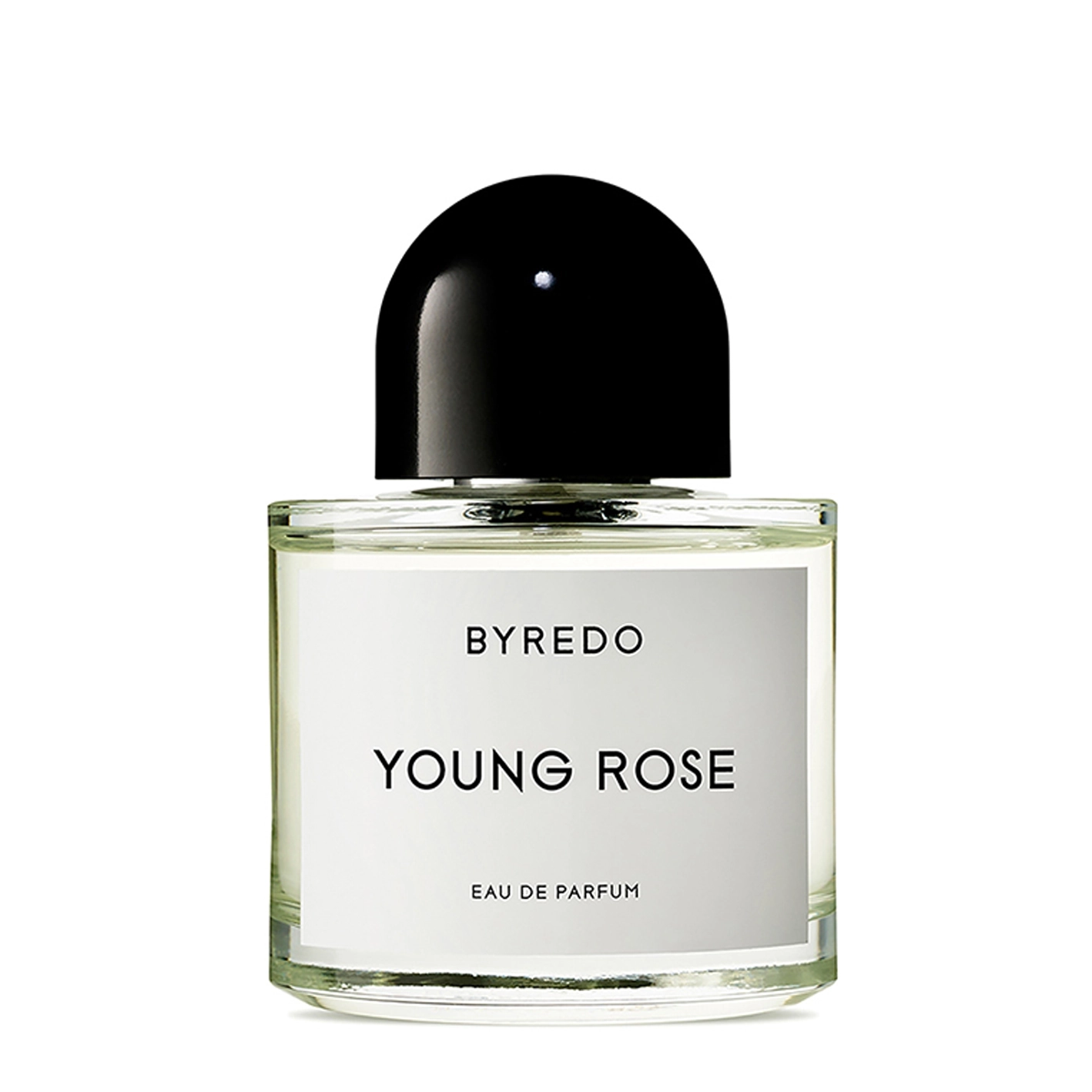 YOUNG ROSE image number null